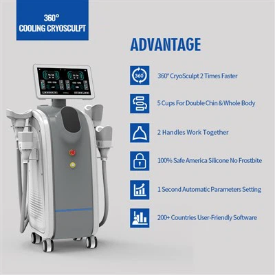 מכונת הקפאת שומן אנכית Cryolipolysis 5 מטפלת בהרזיית גוף עוצמתית